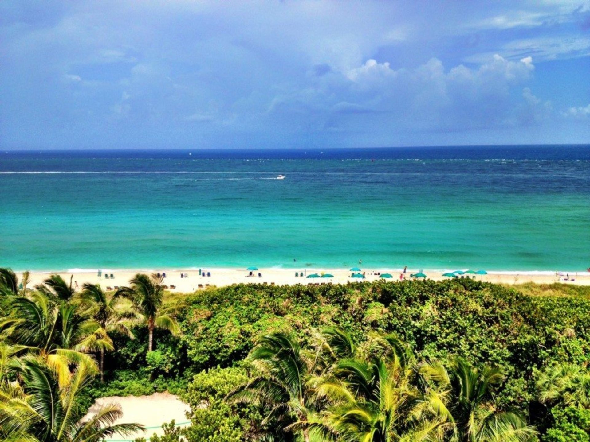 Čudovita vila z bazenom v slogu lagune v West Palm Beachu, vila West Palm Beach 1183