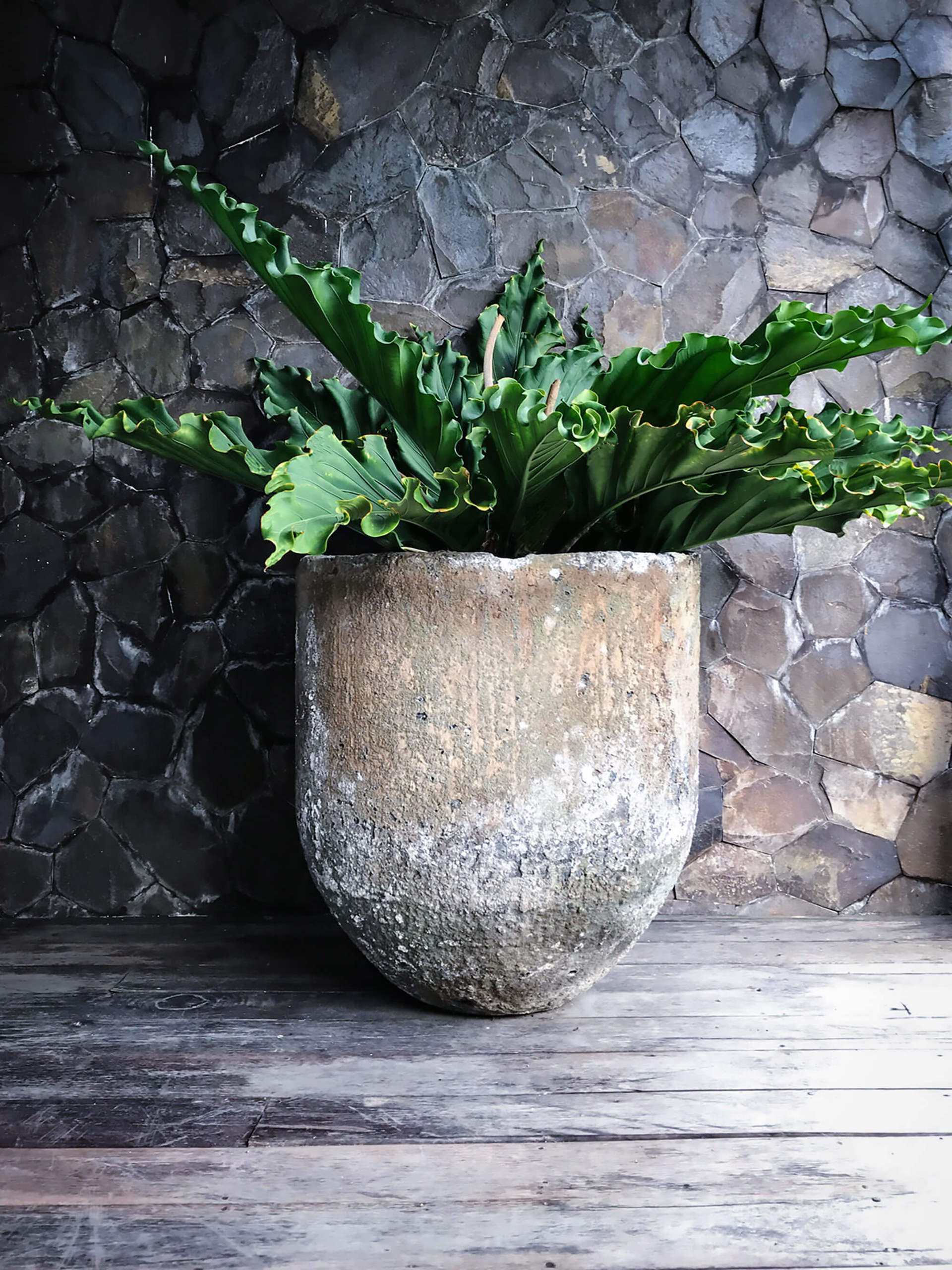 Luksuzna vila s 5 spalnicami in zasebnim bazenom, Bali Villa 1010