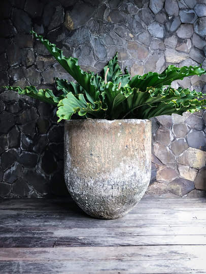 Luksuzna vila s 5 spalnicami in zasebnim bazenom, Bali Villa 1010