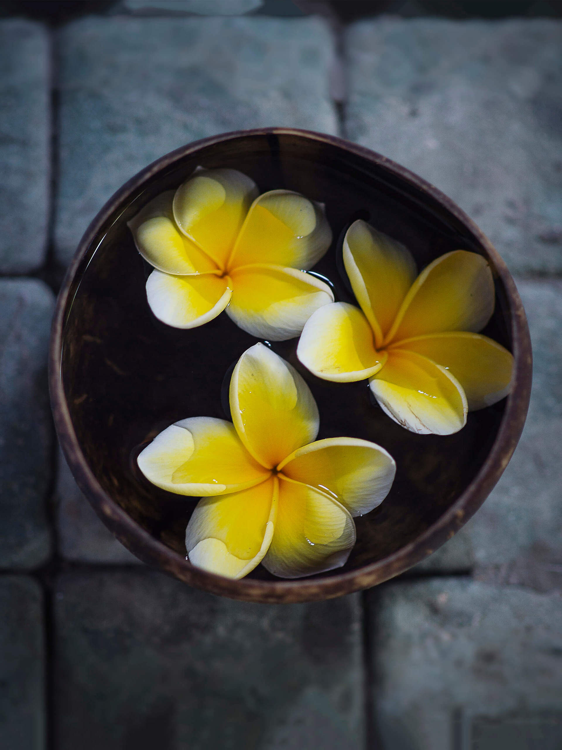 Luksuzna vila s 5 spalnicami in zasebnim bazenom, Bali Villa 1010
