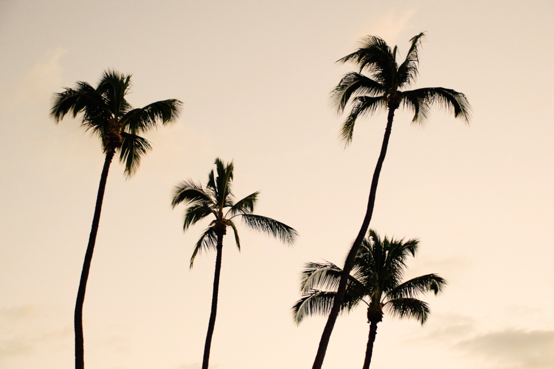 Vila s 5 zvezdicami za najem na Baliju, Bali Villa 1014