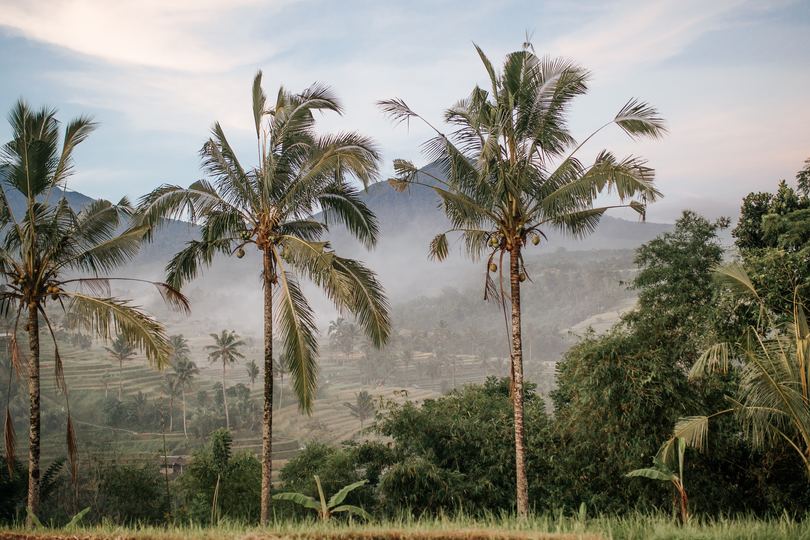 Luksuzna vila s 5 spalnicami in zasebnim bazenom, Bali Villa 1021