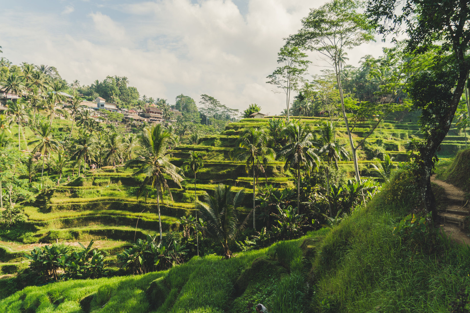 Luksuzna vila s 5 spalnicami in zasebnim bazenom, Bali Villa 1021
