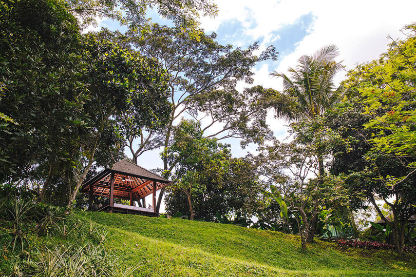 Vila s 5 zvezdicami na Baliju, nekaj minut od plaže, Bali Villa 1026
