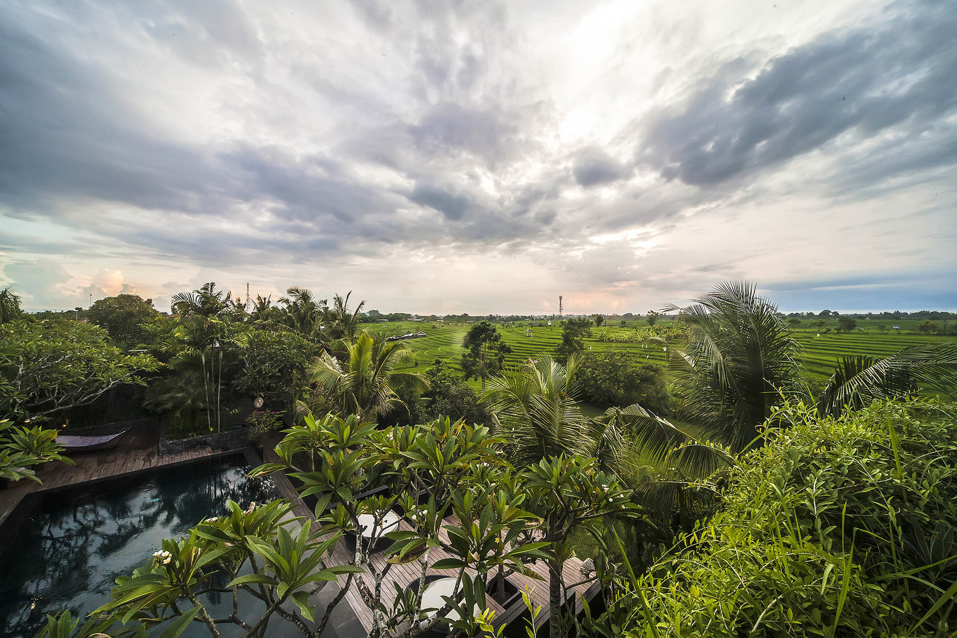 Končno lahko vi in vaša družina najamete luksuzno vilo z neverjetnim osebjem, Bali Villa 1028