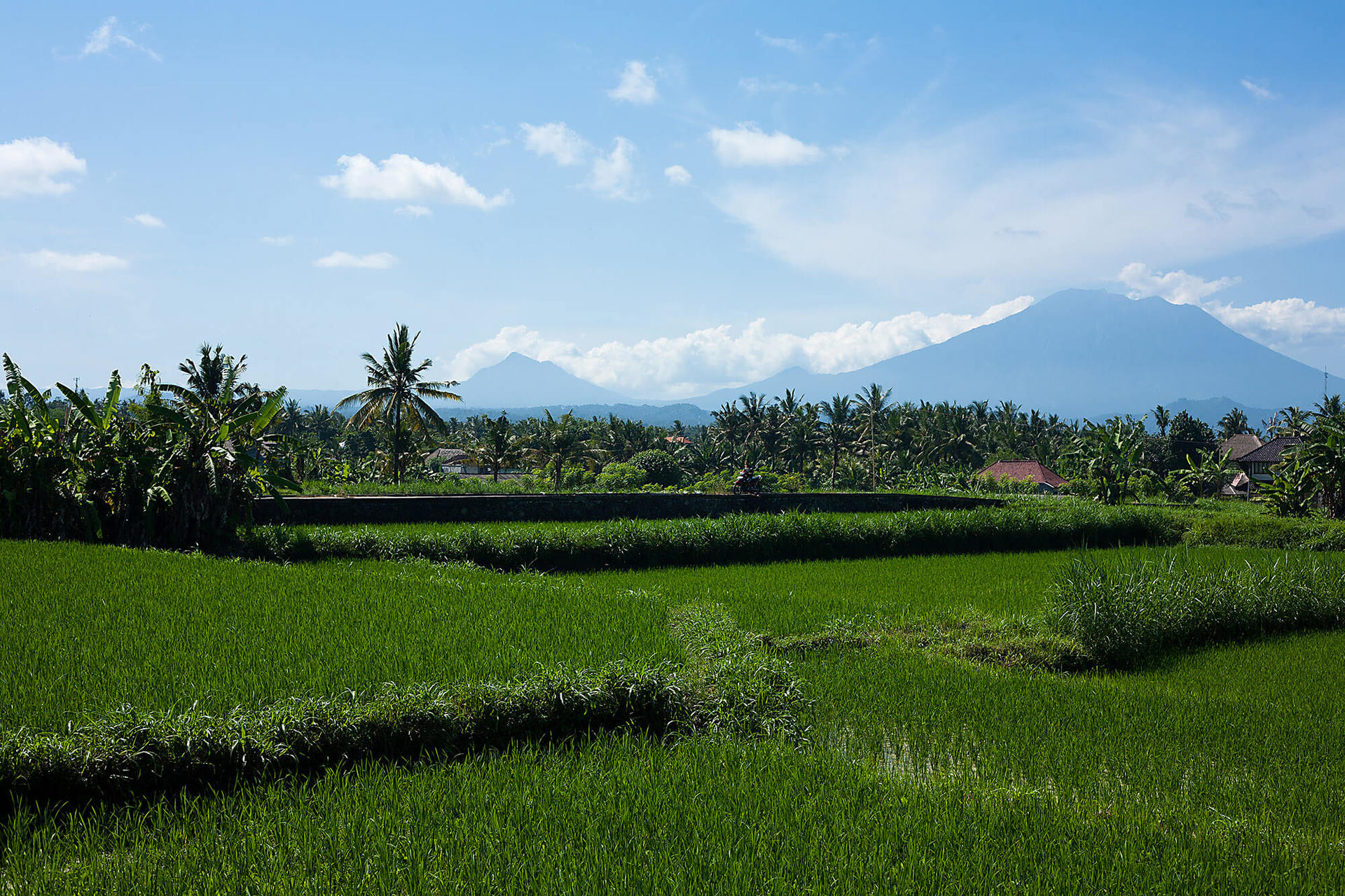 Všeč vam bo ta luksuzna vila na vrhunski lokaciji v Sanur-Ketewelu, Villa Puri Nirwana