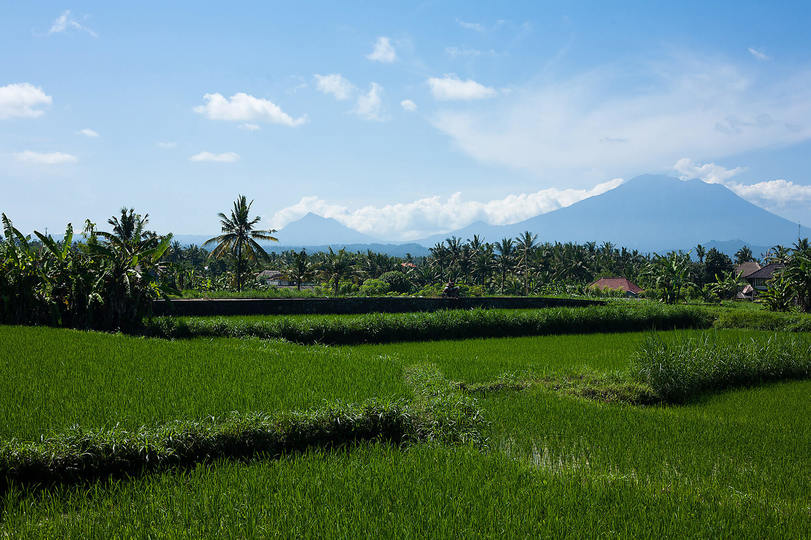 Všeč vam bo ta luksuzna vila na vrhunski lokaciji v Sanur-Ketewelu, Villa Puri Nirwana