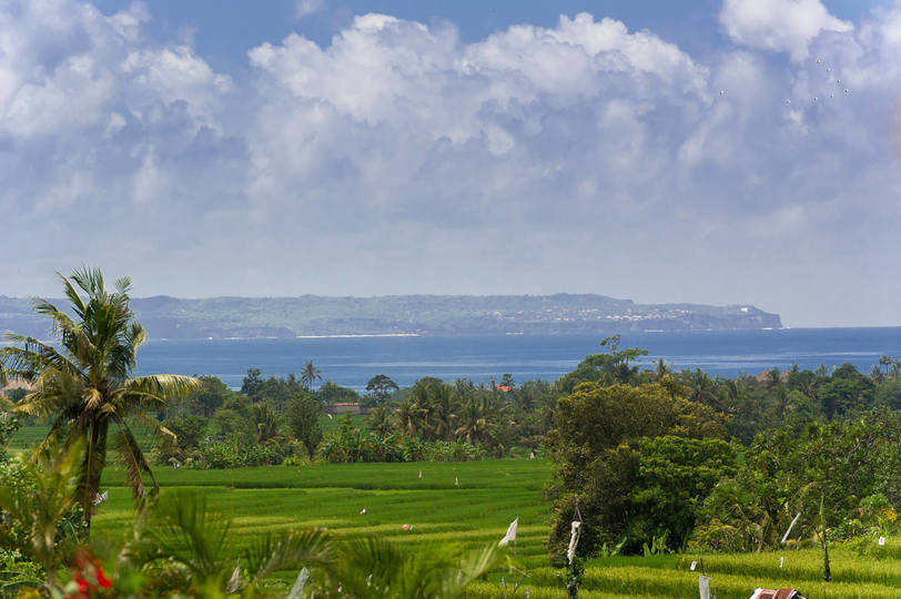 Vila s 5 zvezdicami na Baliju, nekaj minut od plaže, Bali Villa 1047