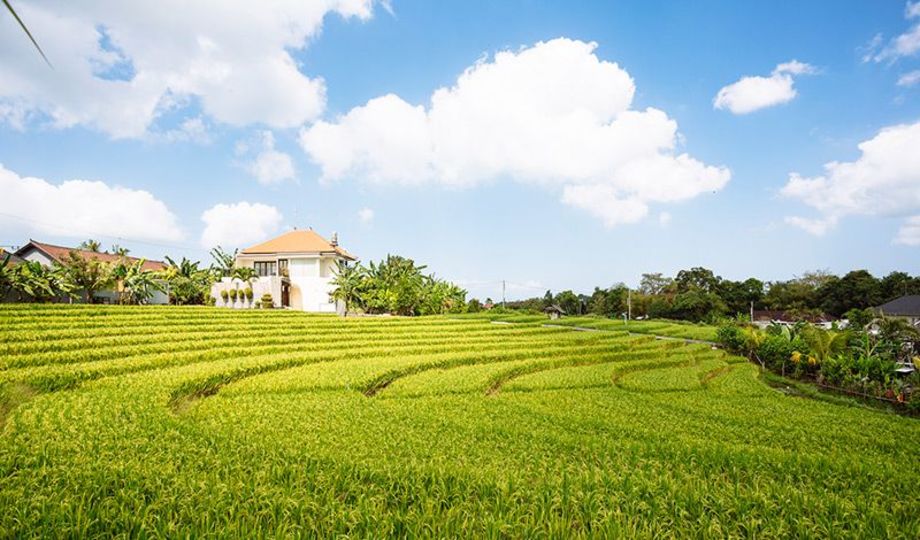 Čudovita vila z zasebnim bazenom, Bali Villa 1063