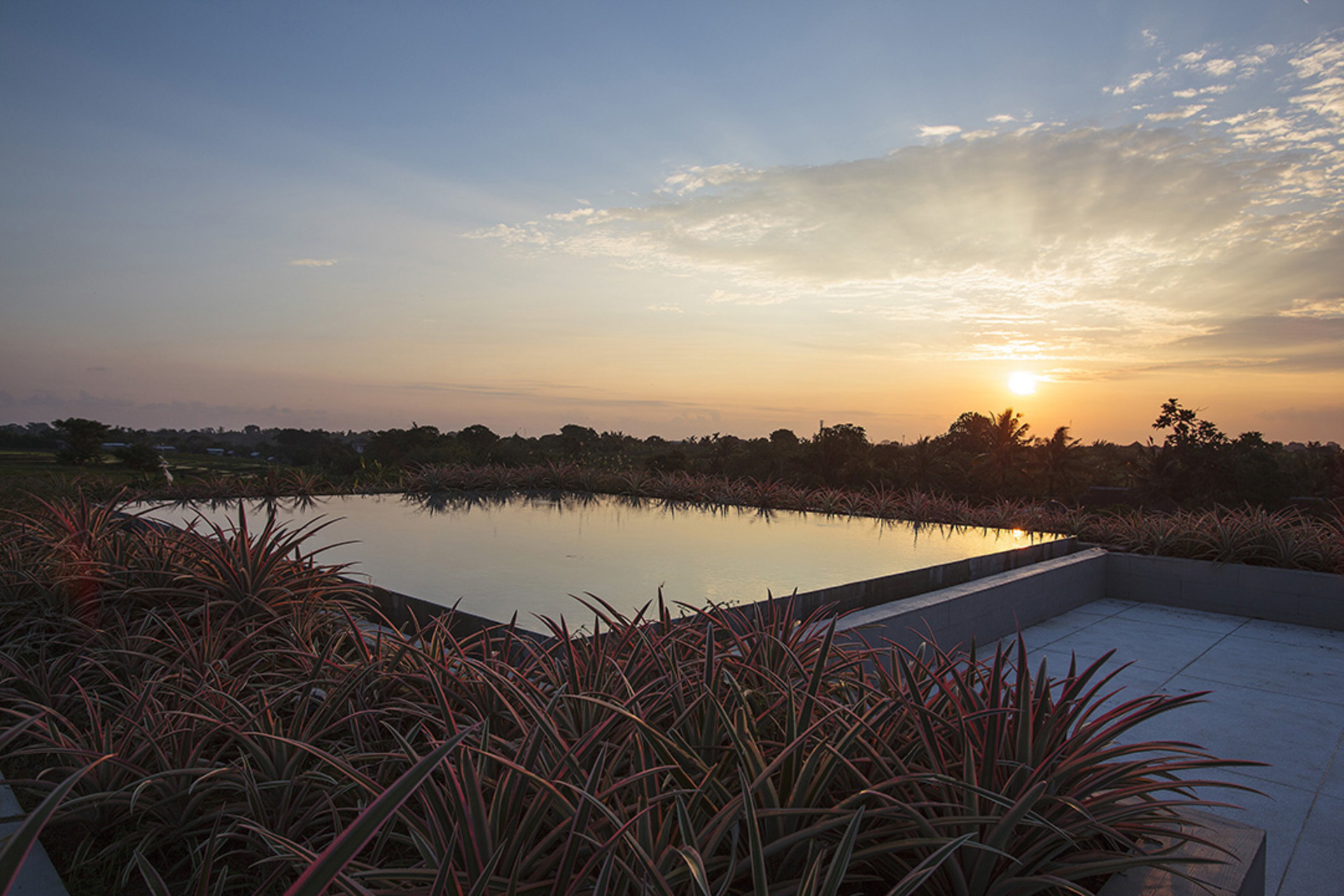 Luksuzna vila s 5 spalnicami in zasebnim bazenom, Bali Villa 1071
