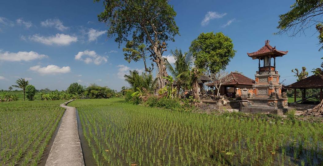 Najemite luksuzno vilo na Baliju blizu plaže, Bali Villa 1130
