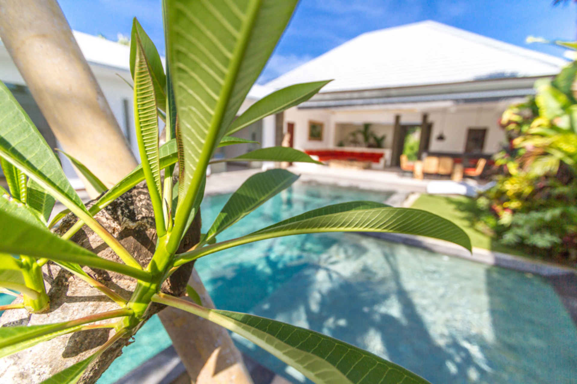 Končno najemite svojo lastno zasebno vilo s 5 zvezdicami v Seminyaku po ugodni ceni, Bali Villa 1155