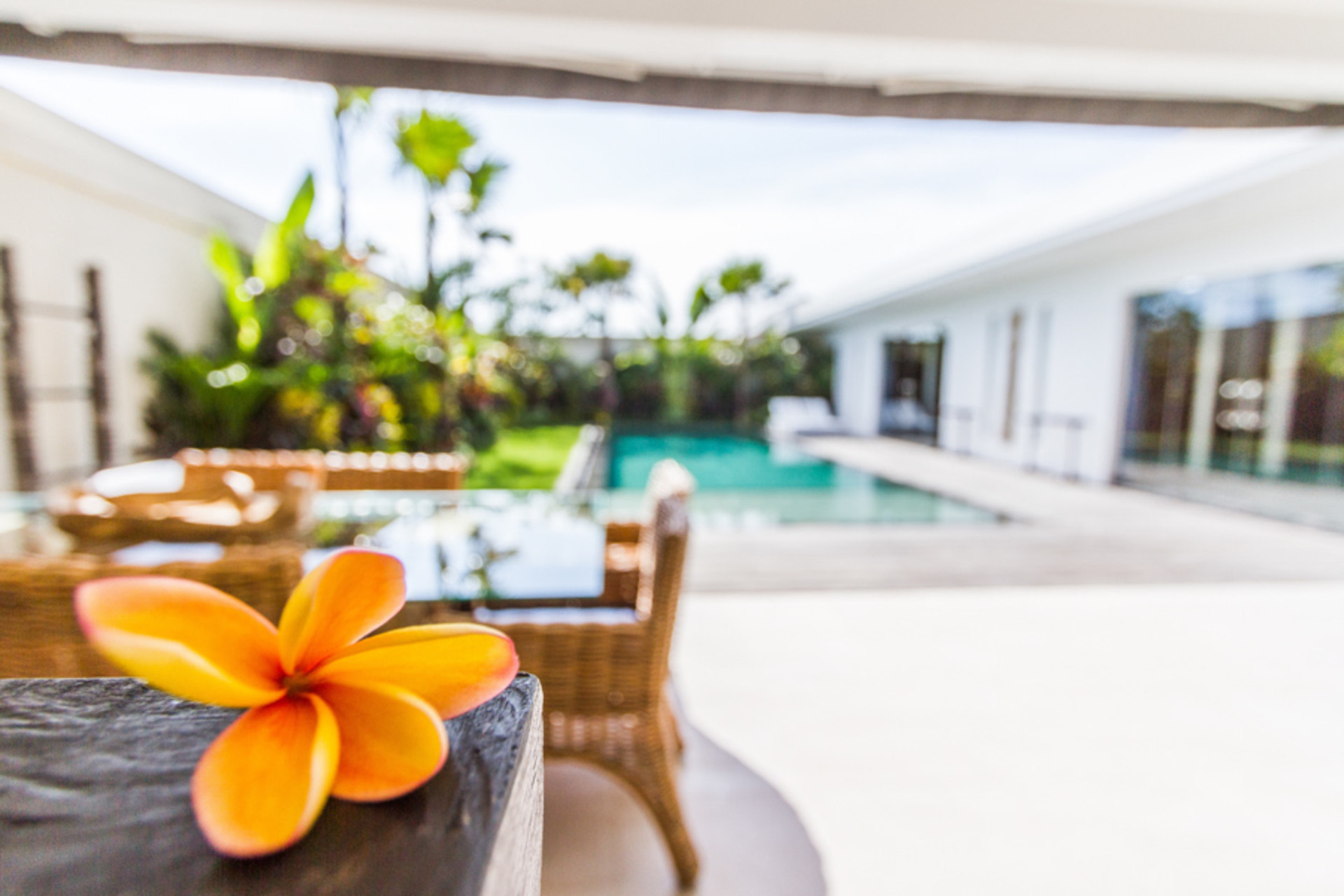 Popoln vodnik za najem vaše ekskluzivne počitniške vile v Seminyaku z zasebnim bazenom in polnim osebjem, Bali Villa 1156