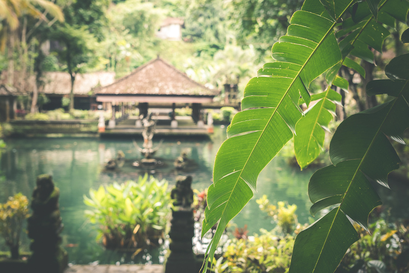 Predstavljajte si to, uživajte na počitnicah v luksuzni vili s 5 zvezdicami v Ubudu, Villa Bali 2032