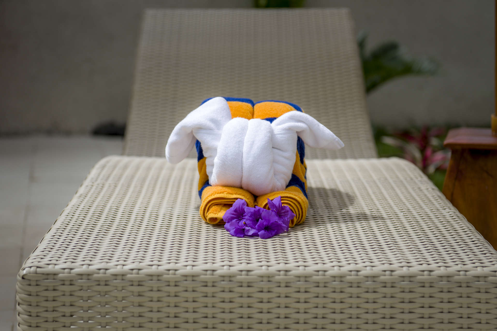 Najemite luksuzno vilo na Baliju blizu plaže, Bali Villa 2057