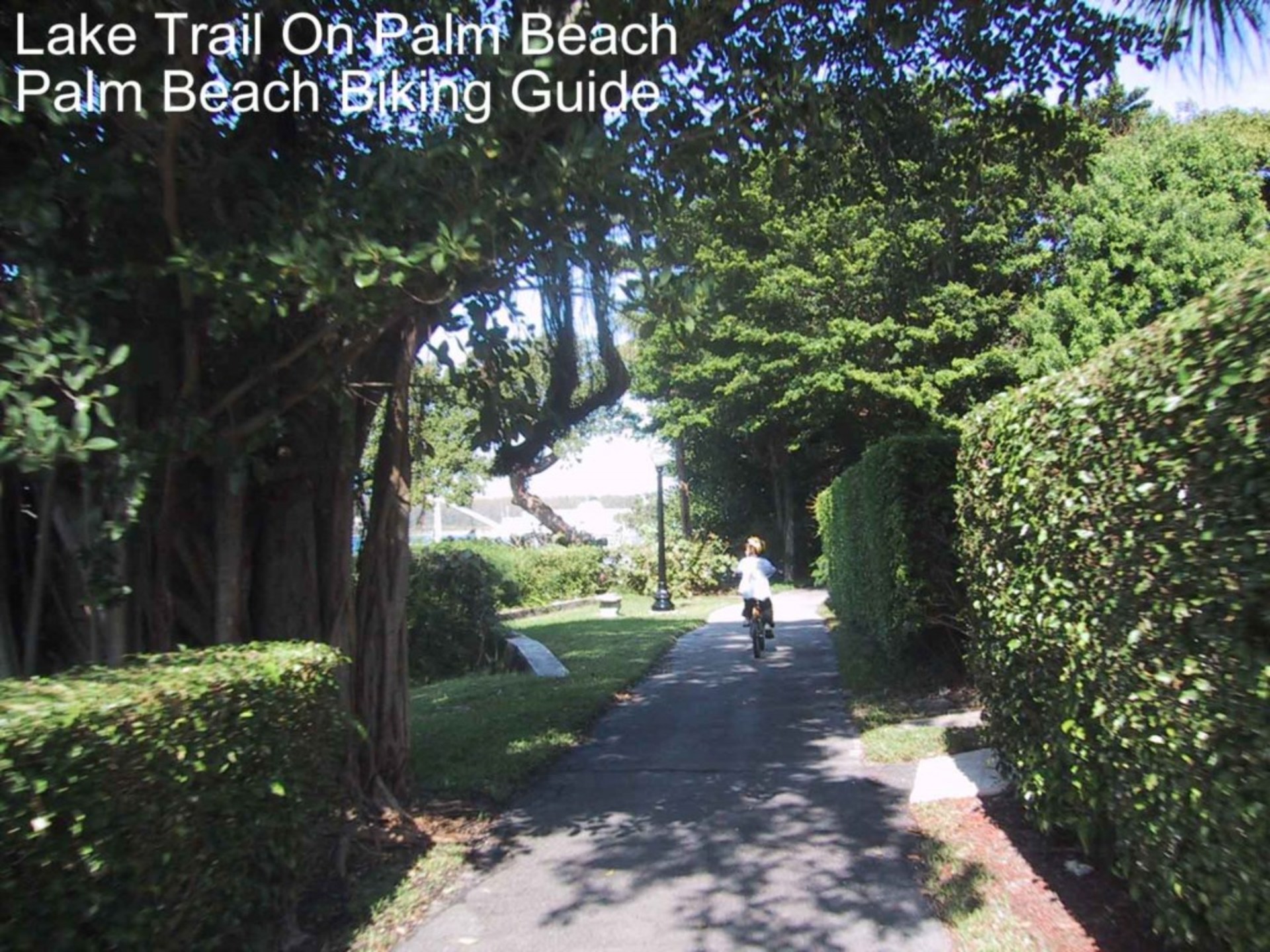 Osupljivo stanovanje z 2 spalnicama na vrhunski lokaciji v Palm Beachu, stanovanje West Palm Beach 1853