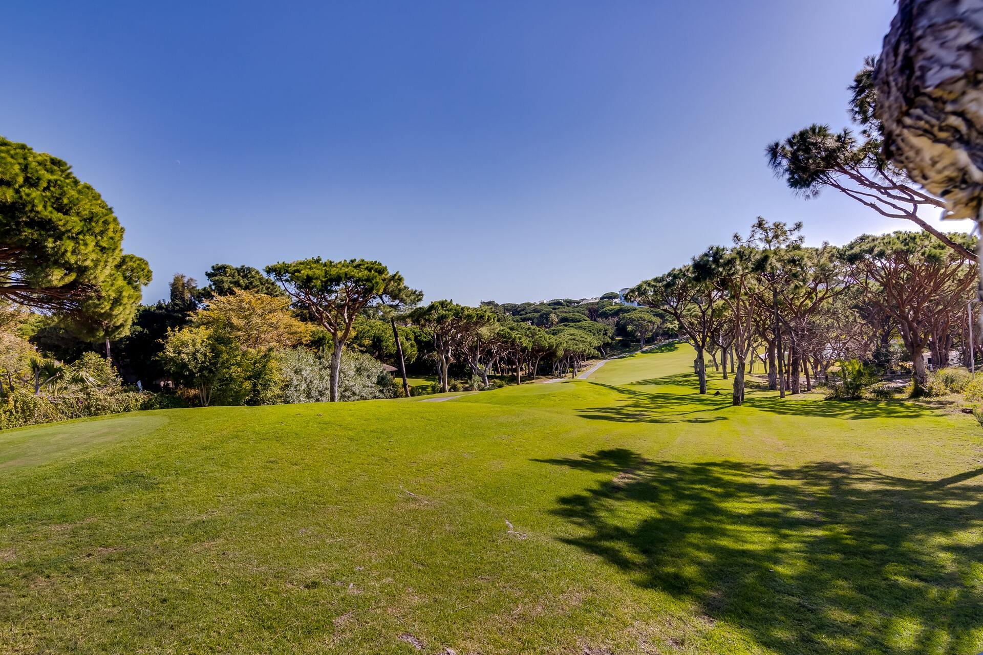 Vaši družini bo všeč zasebni bazen v vaši luksuzni zasebni vili v letovišču Vale Do Lobo, vila Algarve 1050