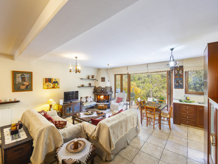 Vam in vaši družini bo všeč ta vila v bližini čudovitega mesta Limassol, Limassol Villa 1003