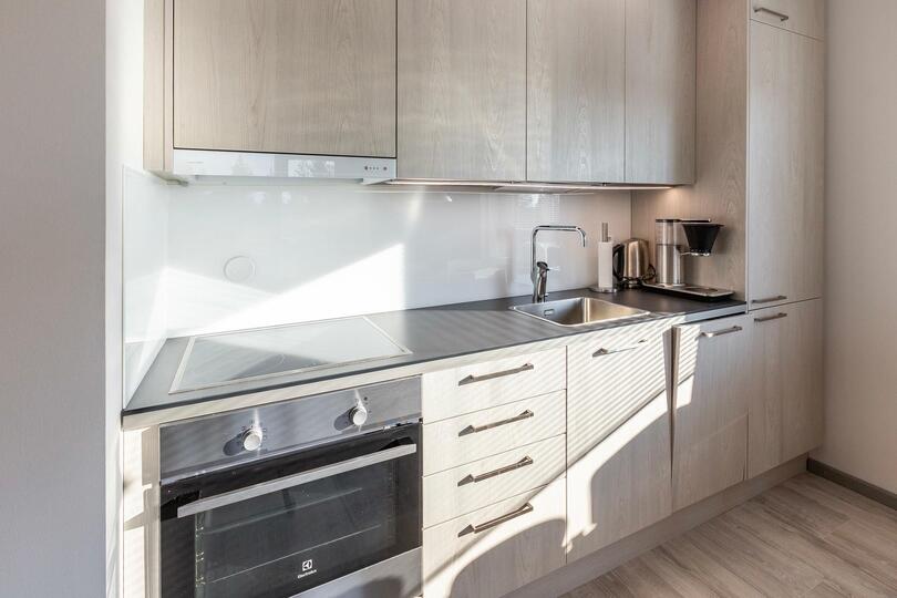 Luksuzna vila s 4 spalnicami, vila Severna Savonija 1002