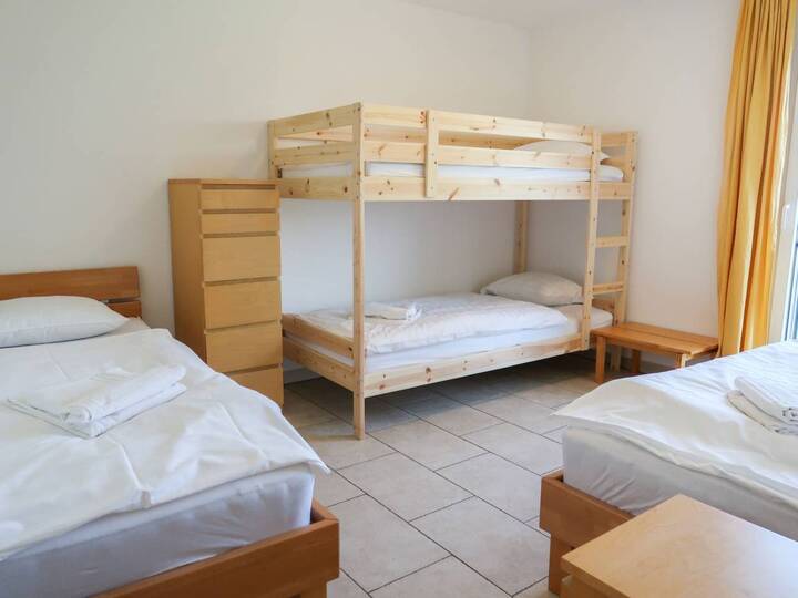 Vila s 5 zvezdicami in prvovrstno opremo, Valais Villa 1057