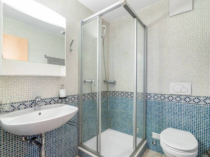 Vila s 5 zvezdicami in prvovrstno opremo, Valais Villa 1057