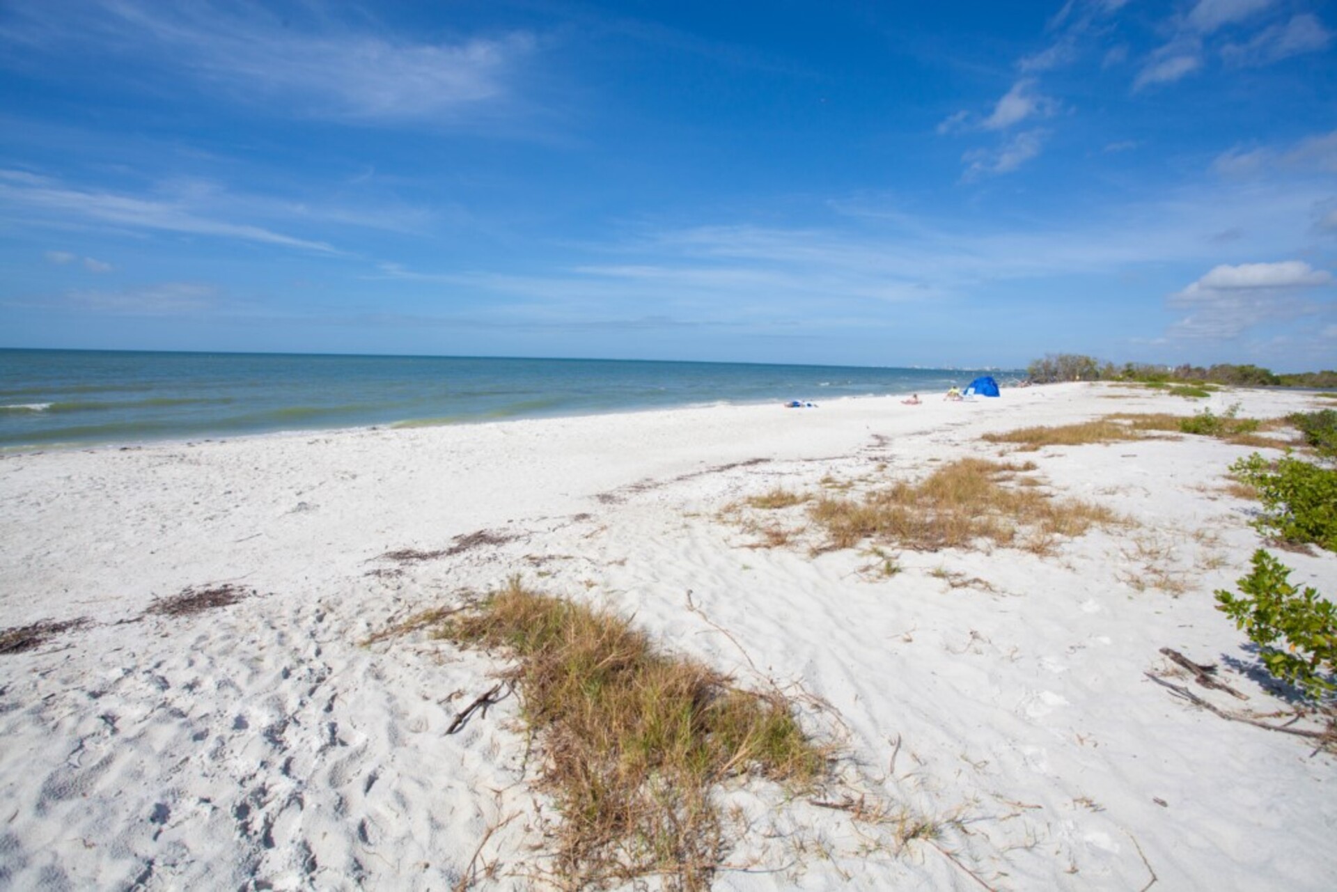 Stanovanje s 5 zvezdicami v enem najprestižnejših območij v Estero Beach & Tennis, Florida Condo 5946