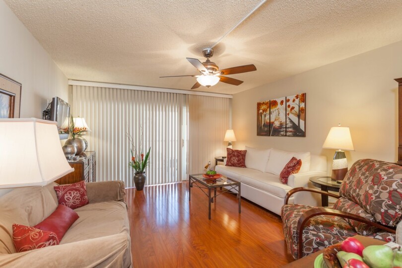 Ekskluzivno počitniško stanovanje na Dolphin Way, Florida Condo 5961