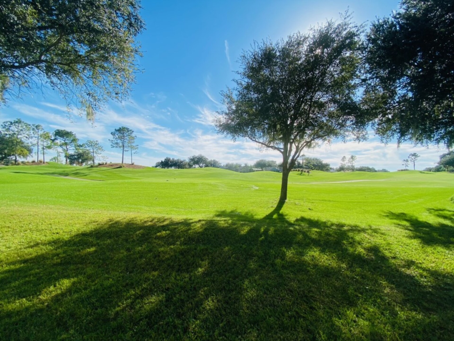 Luksuzna vila v sodobnem slogu v opatiji v West Havenu, vila Florida 5992