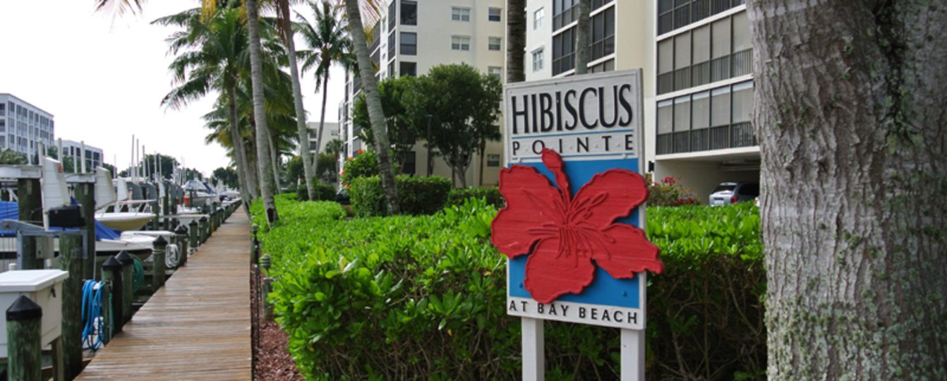 Luksuzno stanovanje v sodobnem slogu na Hibiscus Pointu, Florida Condo 5933