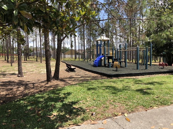 Vila s 5 zvezdicami v enem najprestižnejših območij v Highlands Reserve Resort, Florida Villa 6210