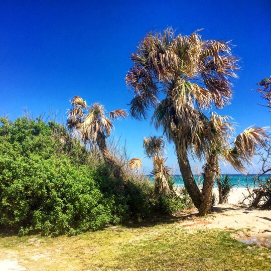 Slika Najem te čudovite vile v oazi Palm Beach, vila West Palm Beach 1861