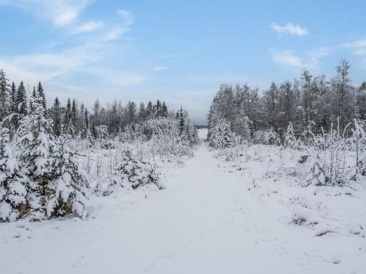 Outdoor