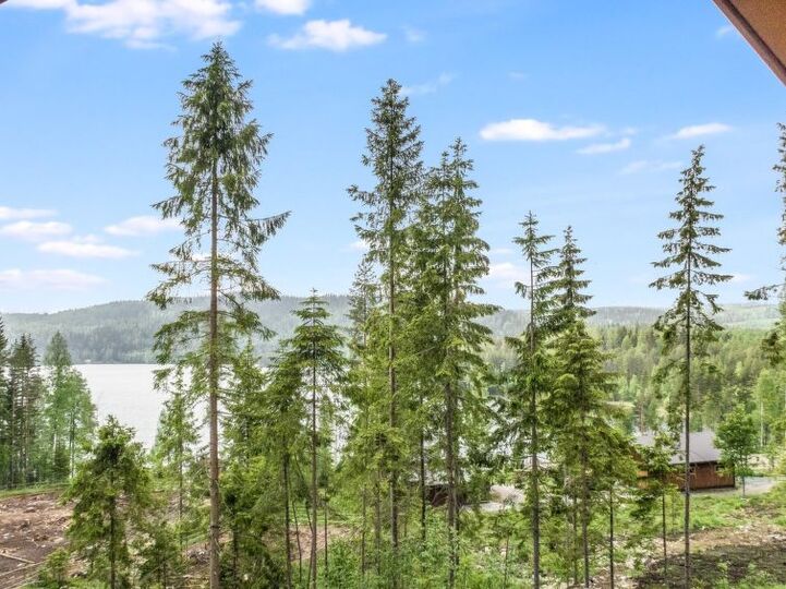 Vaš popoln pobeg, Lieksa 1047
