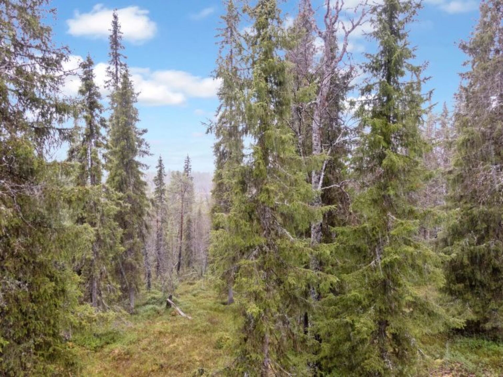 Ekskluziven dom na popolni lokaciji, Salla 1284