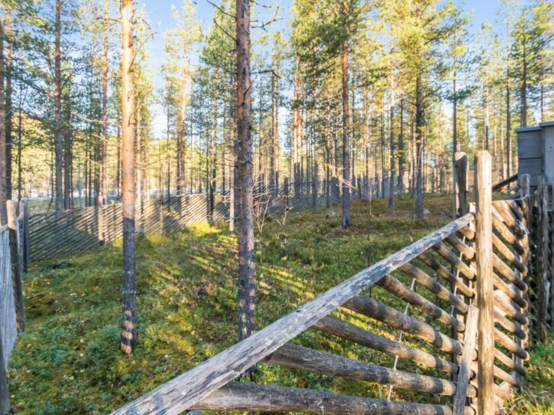 Čas za sprostitev, Pelkosenniemi 1266