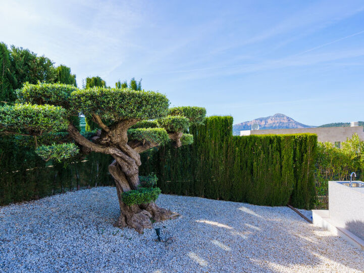 View