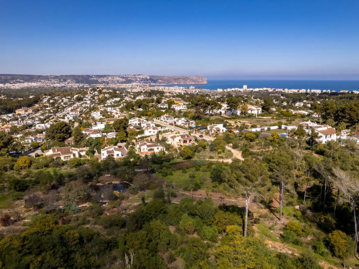 View