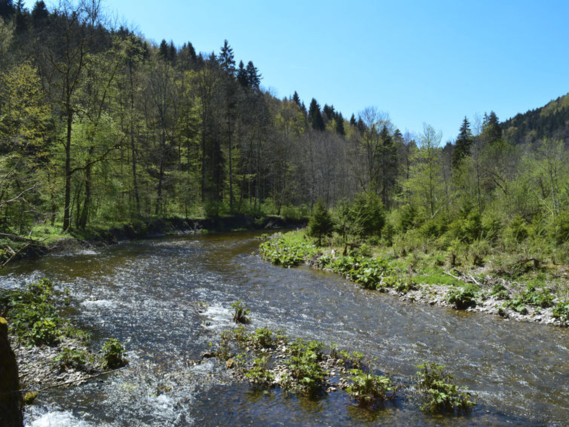 Slikovita vila z 1 spalnico: Baden-Württemberg Haven, 1035