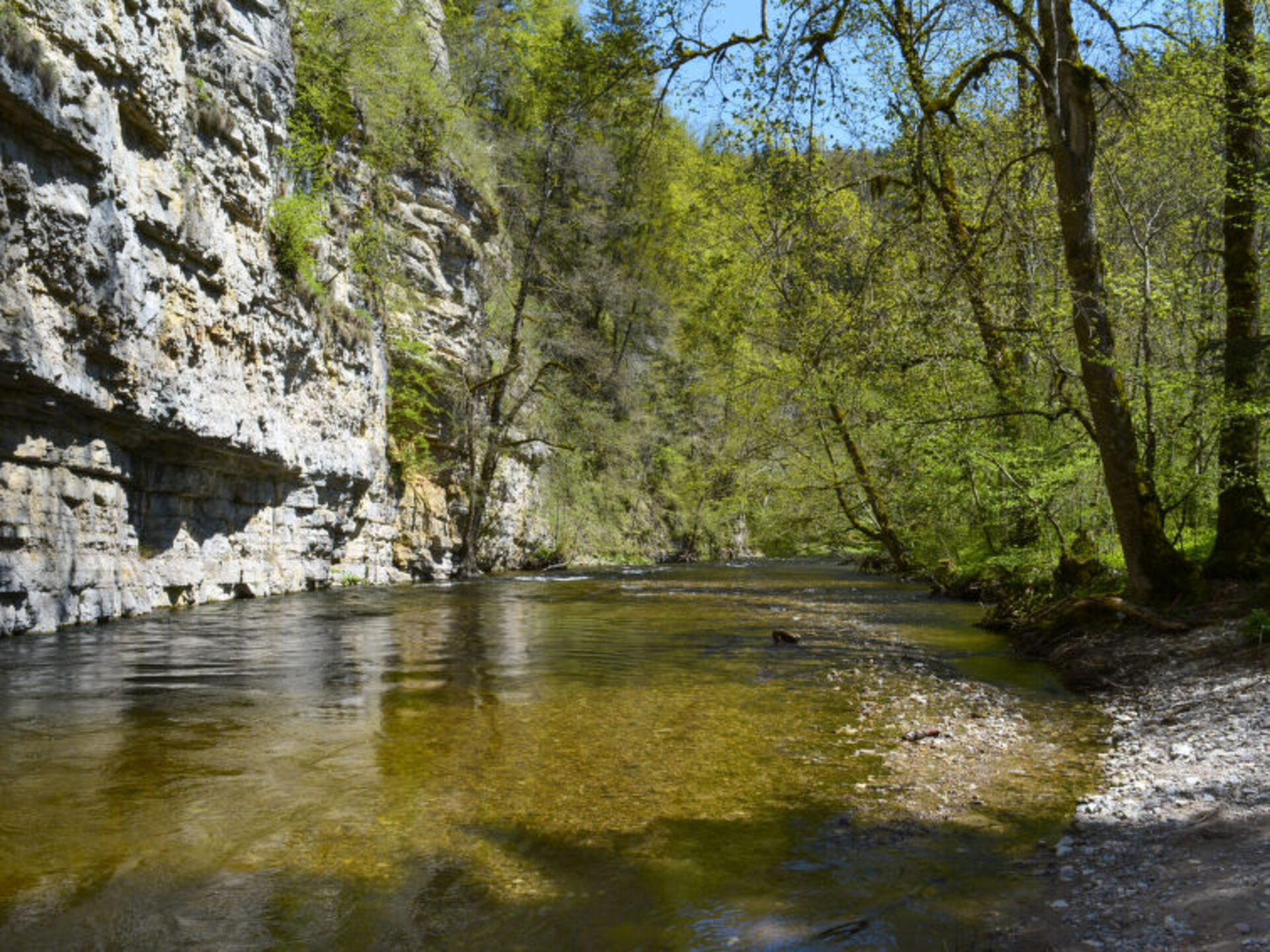 Slikovita vila z 1 spalnico: Baden-Württemberg Haven, 1035