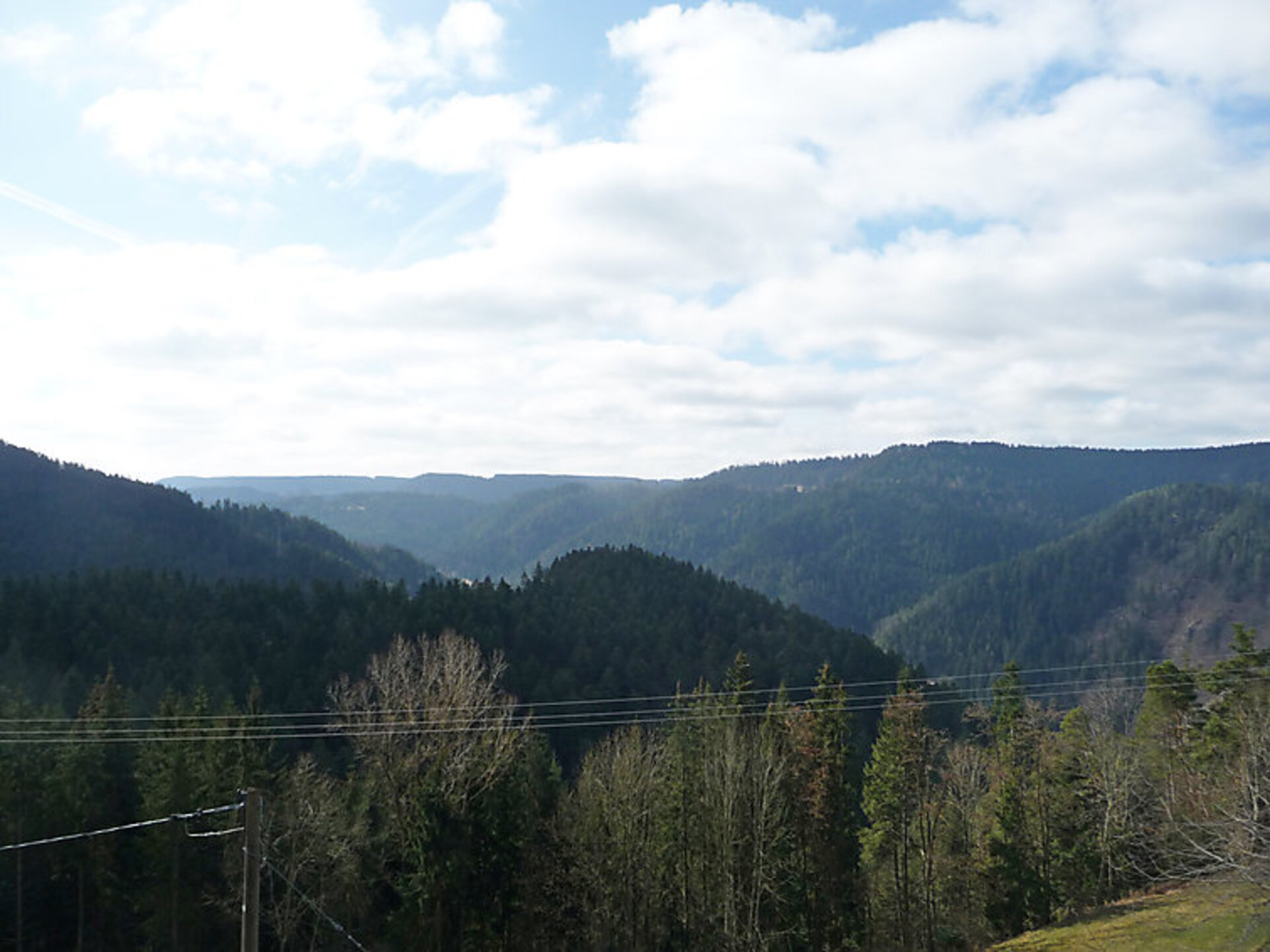 View