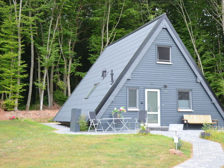 Osamljeni dragulj: Elegantna vila s 3 spalnicami, Hessen, 1008, Bad Arolsen, Germany