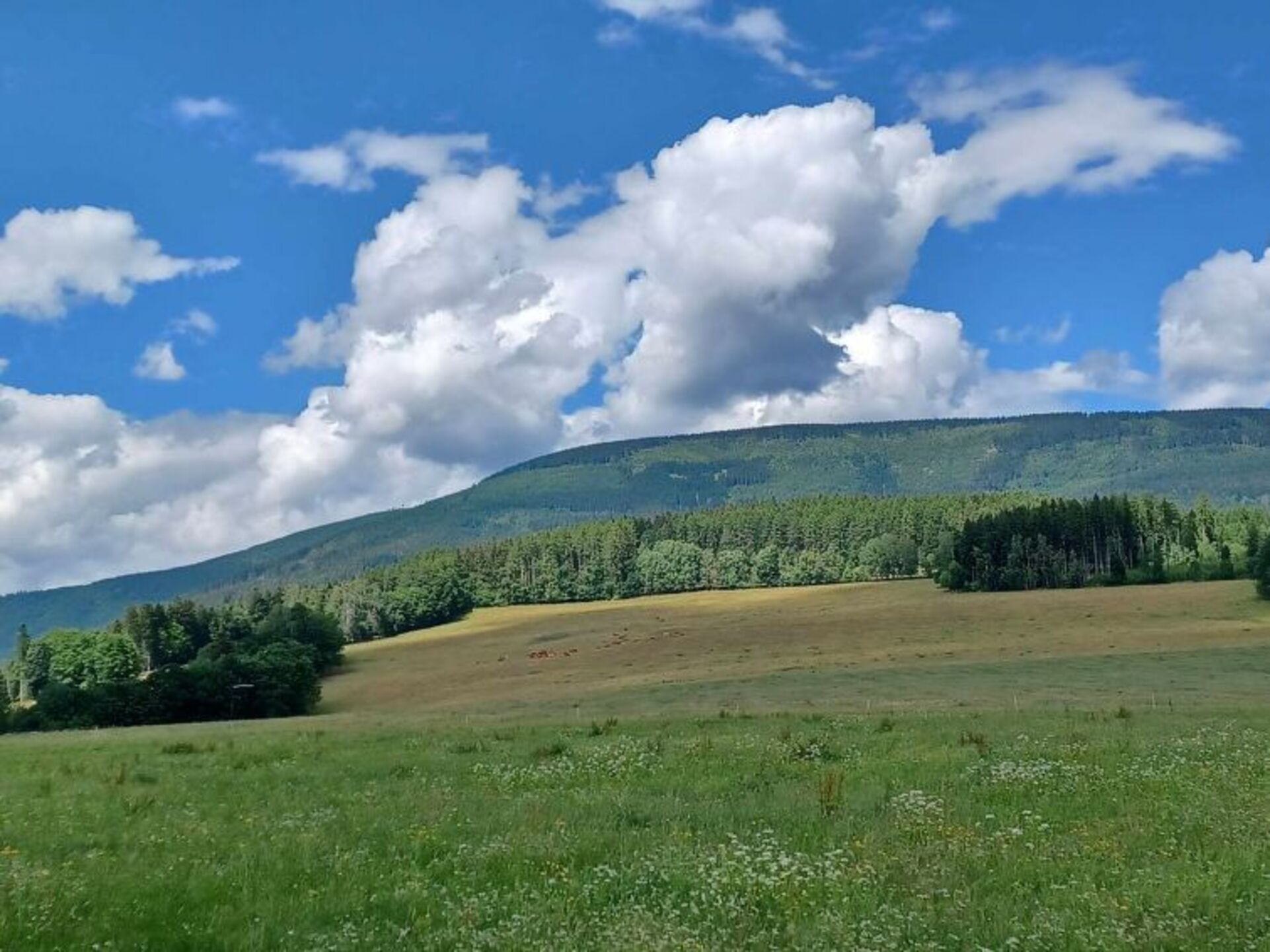 Place