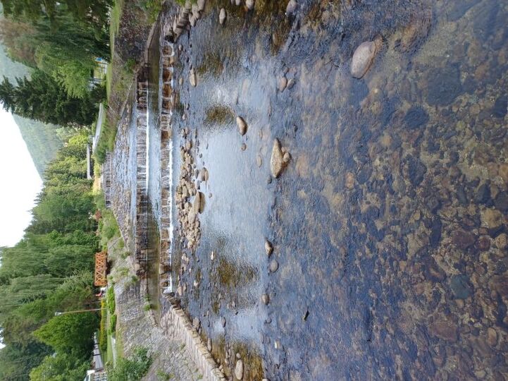 Place
