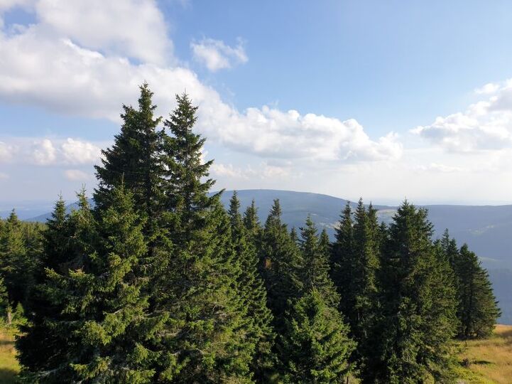 Place