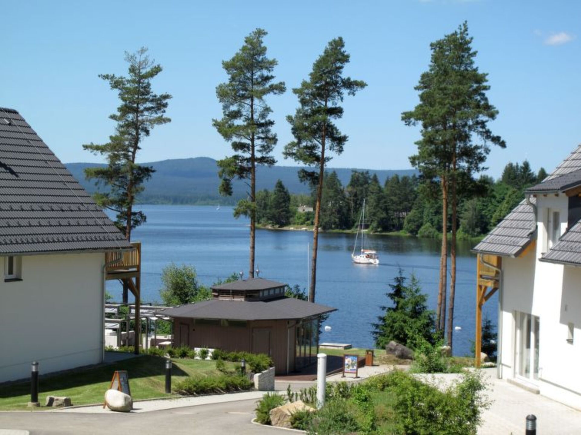 View