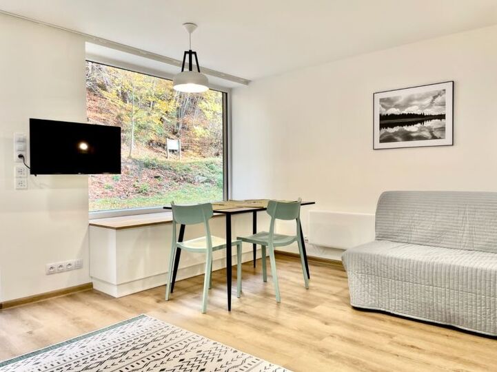 Očarljiva vila z 1 spalnico in osupljivim razgledom, 1001, Karlovarský kraj, Czech Republic