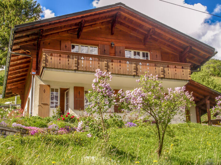 Prijetna gorska vila v mestu Grindelwald, 1173, Grindelwald, Switzerland