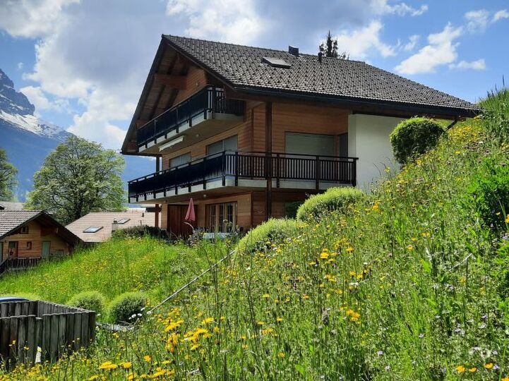 Osamljeni dragulj v mestu Grindelwald, 1176, Grindelwald, Switzerland