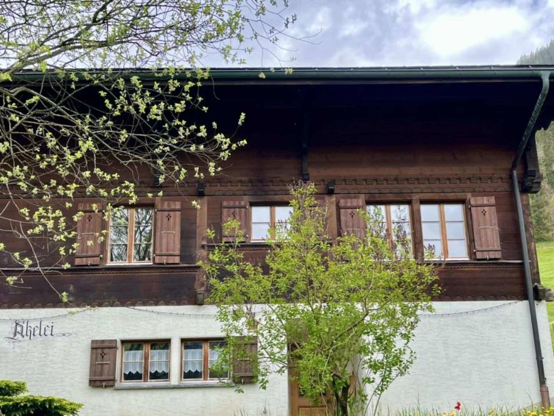 Zasebna oaza v Zweisimmenu 1196