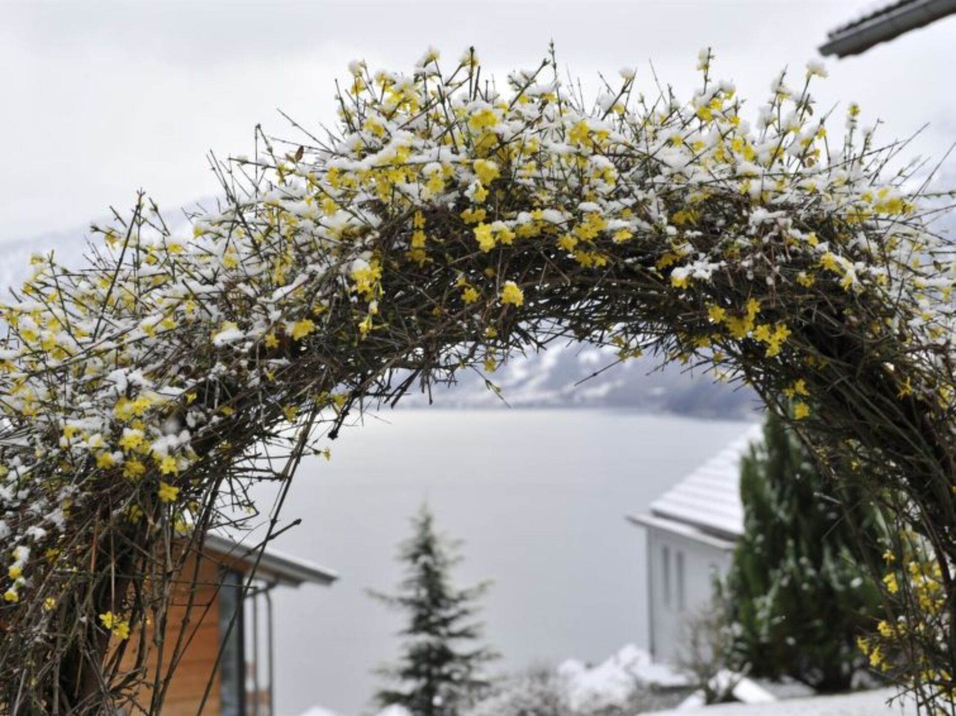 Spiez Dream Home: Vila s 5 spalnicami in bazenom, 1199